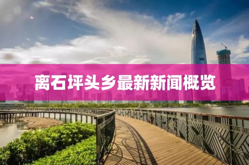 離石坪頭鄉(xiāng)最新新聞概覽