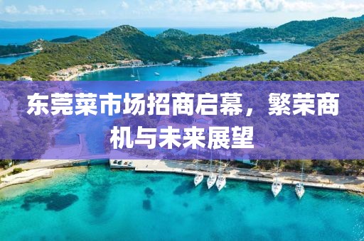 東莞菜市場(chǎng)招商啟幕，繁榮商機(jī)與未來(lái)展望