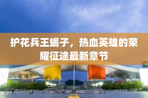 護花兵王蝎子，熱血英雄的榮耀征途最新章節(jié)