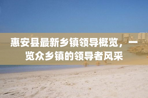 惠安縣最新鄉(xiāng)鎮(zhèn)領(lǐng)導(dǎo)概覽，一覽眾鄉(xiāng)鎮(zhèn)的領(lǐng)導(dǎo)者風(fēng)采