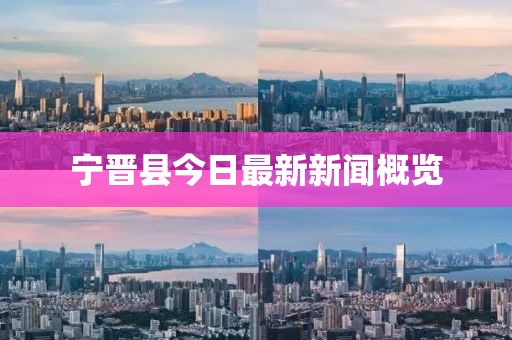 寧晉縣今日最新新聞概覽