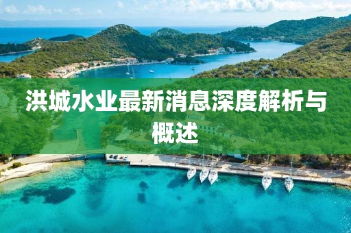 洪城水業(yè)最新消息深度解析與概述