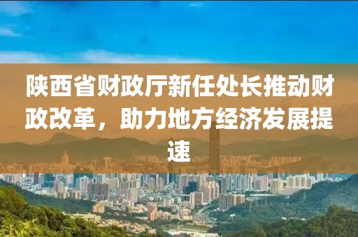 陜西省財(cái)政廳新任處長(zhǎng)推動(dòng)財(cái)政改革，助力地方經(jīng)濟(jì)發(fā)展提速