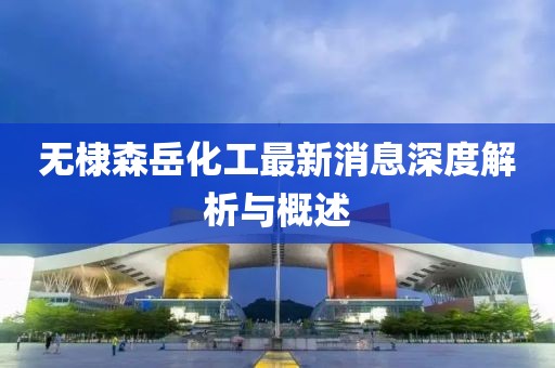 無棣森岳化工最新消息深度解析與概述