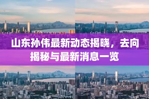 山東孫偉最新動態(tài)揭曉，去向揭秘與最新消息一覽