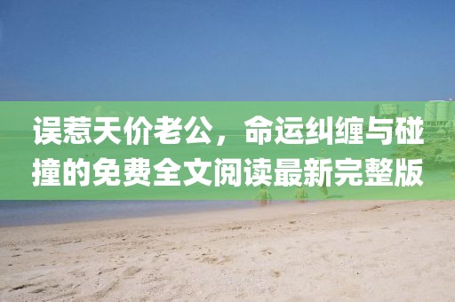誤惹天價(jià)老公，命運(yùn)糾纏與碰撞的免費(fèi)全文閱讀最新完整版