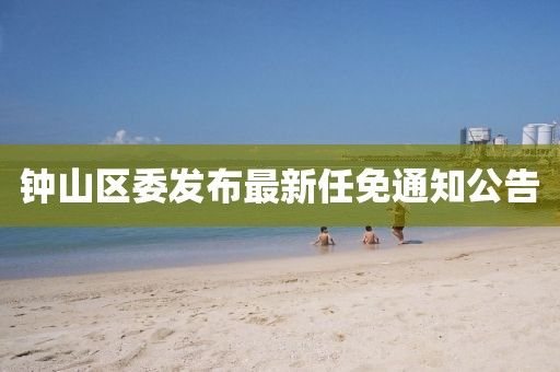 鐘山區(qū)委發(fā)布最新任免通知公告