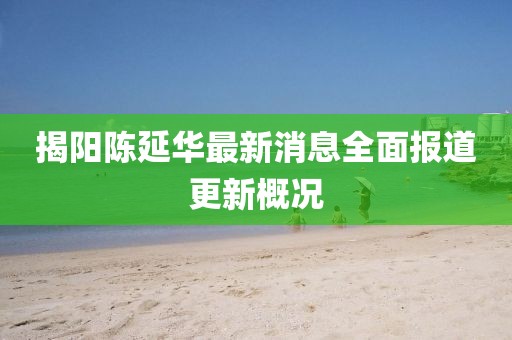 揭陽陳延華最新消息全面報道更新概況