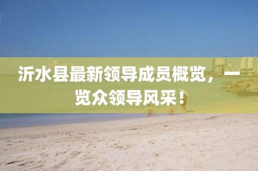 沂水縣最新領(lǐng)導成員概覽，一覽眾領(lǐng)導風采！