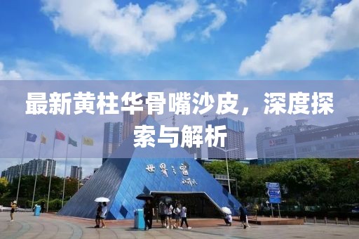 最新黃柱華骨嘴沙皮，深度探索與解析