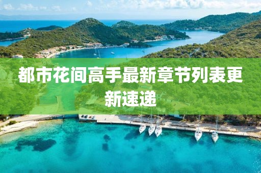 都市花間高手最新章節(jié)列表更新速遞