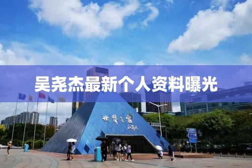 吳堯杰最新個人資料曝光