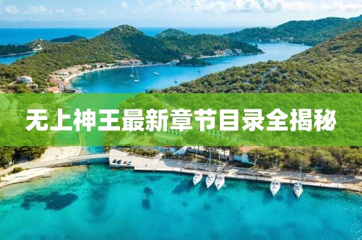無上神王最新章節(jié)目錄全揭秘