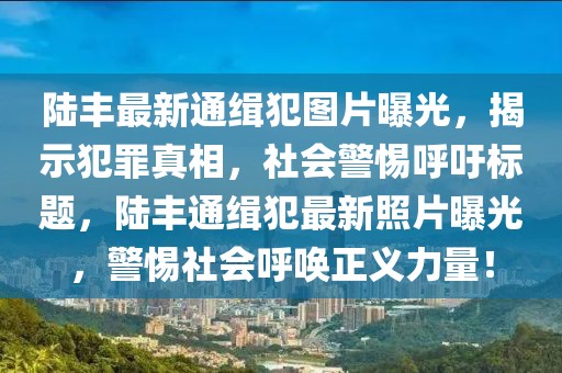 陸豐最新通緝犯圖片曝光，揭示犯罪真相，社會(huì)警惕呼吁標(biāo)題，陸豐通緝犯最新照片曝光，警惕社會(huì)呼喚正義力量！