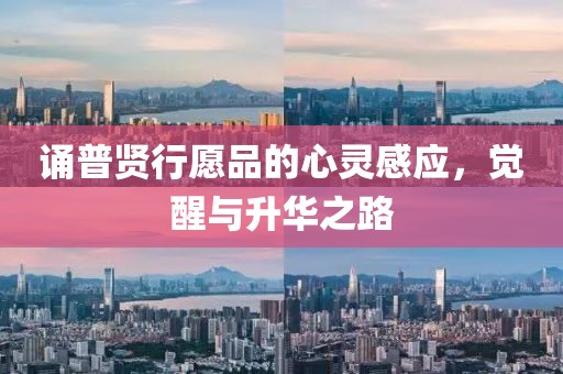 蝶翼天使 第20頁(yè)