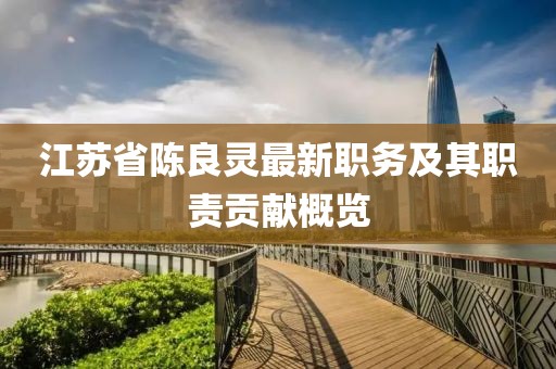 江蘇省陳良靈最新職務(wù)及其職責(zé)貢獻概覽