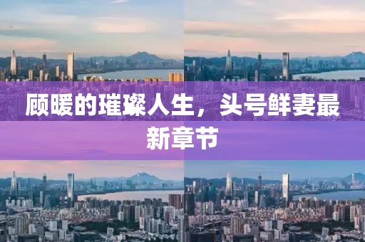 顧暖的璀璨人生，頭號鮮妻最新章節(jié)