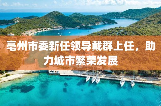 亳州市委新任領(lǐng)導(dǎo)戴群上任，助力城市繁榮發(fā)展