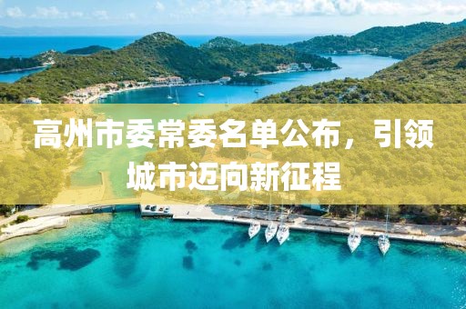 高州市委常委名單公布，引領(lǐng)城市邁向新征程