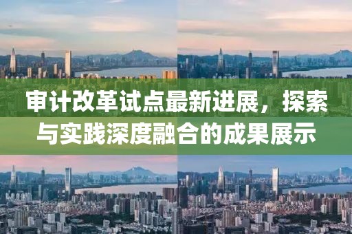 審計改革試點最新進展，探索與實踐深度融合的成果展示