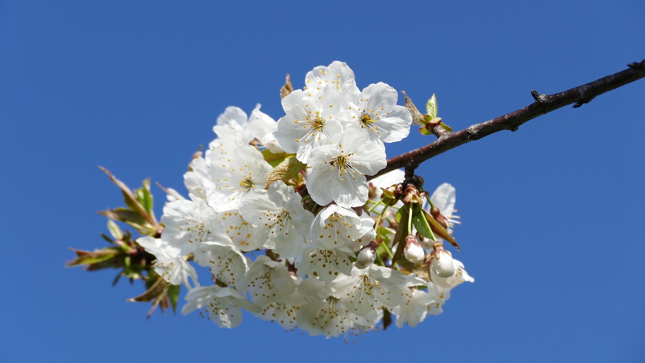 興永郴贛鐵路進(jìn)展順利，助力區(qū)域經(jīng)濟(jì)發(fā)展新動(dòng)態(tài)