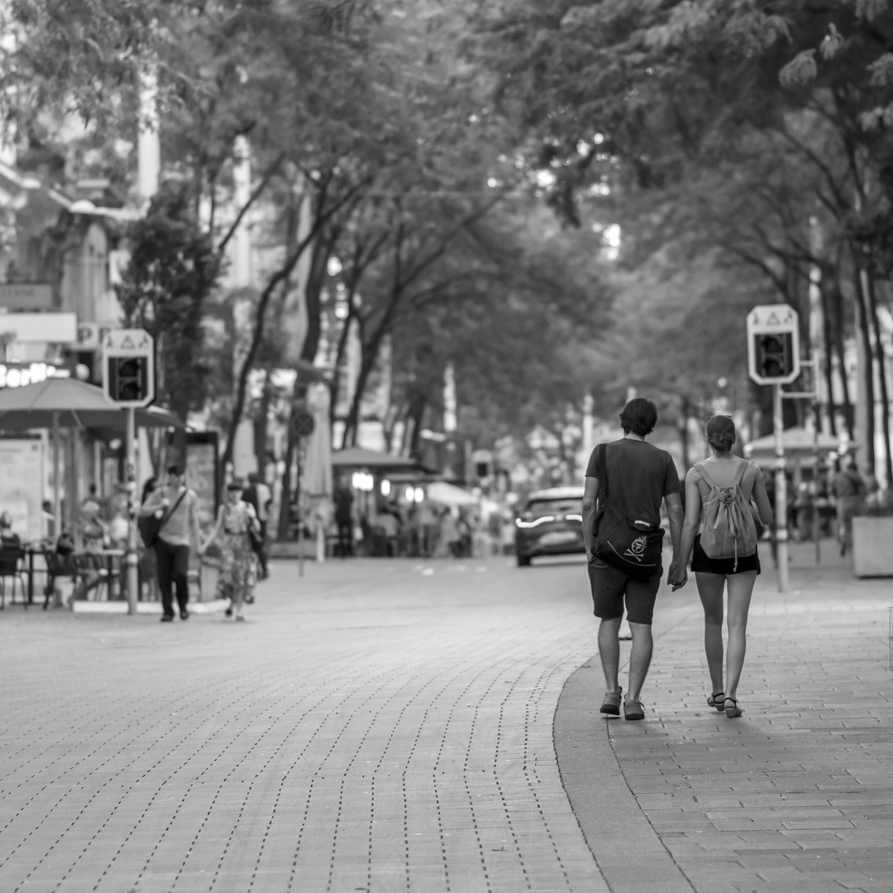 蘄春縣人事任免動態(tài)更新，最新人事任免消息