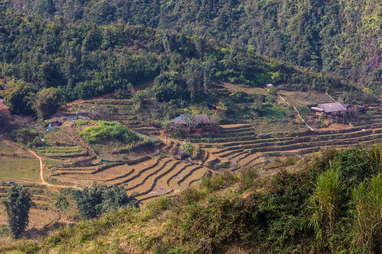 符離鎮(zhèn)最新規(guī)劃圖揭曉，展望繁榮未來，符離鎮(zhèn)2016規(guī)劃展望