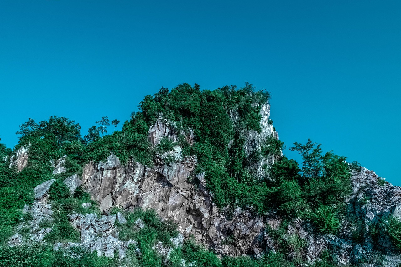 傳藝科技股票最新消息綜述，掌握最新動態(tài)，洞悉股市走向