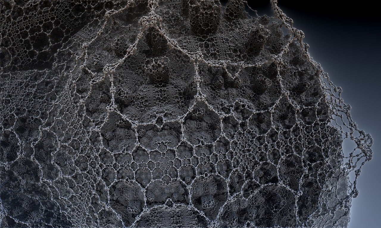 遼寧隋顯利最新動(dòng)態(tài)，傳奇人物的嶄新篇章