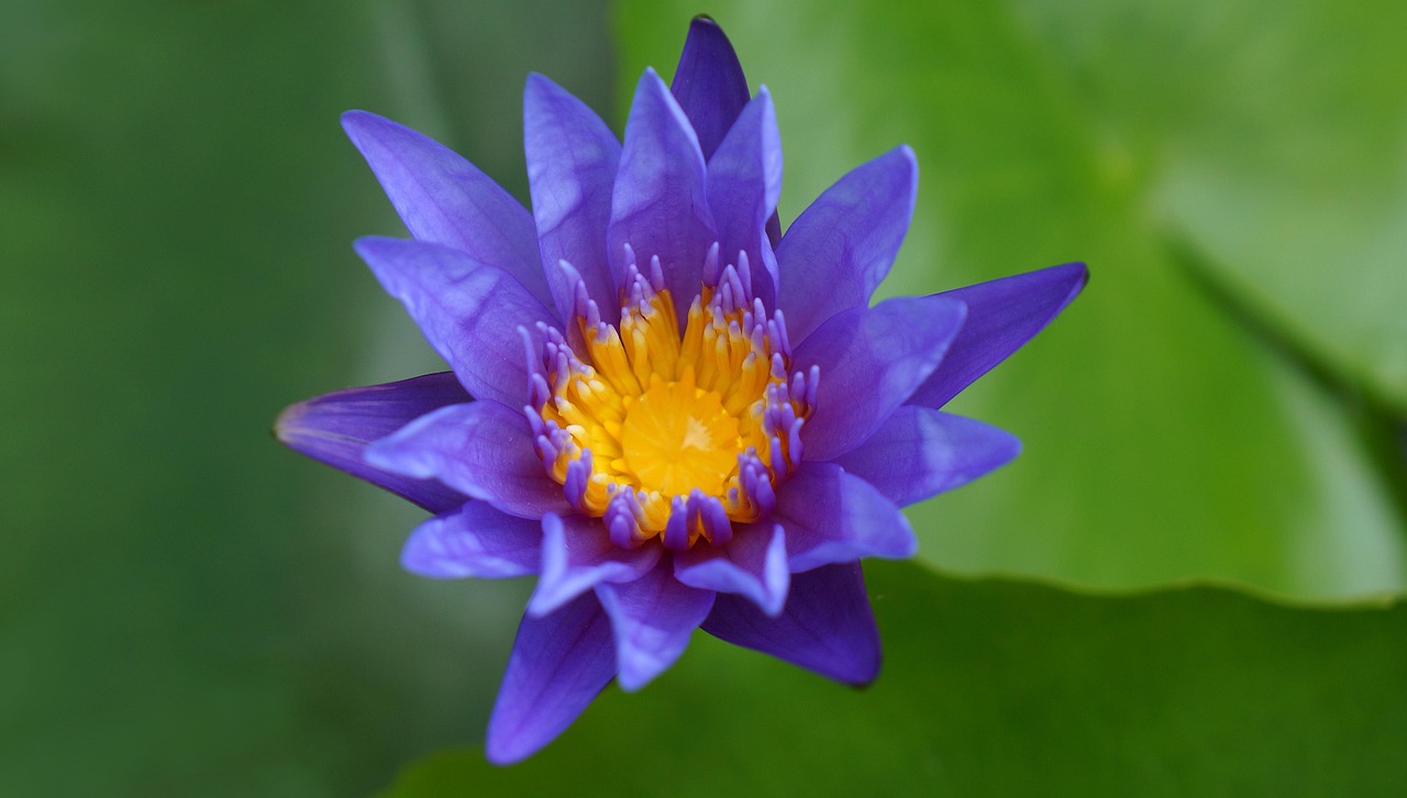 雙陽(yáng)區(qū)火車(chē)站邁向現(xiàn)代化，提升服務(wù)質(zhì)量，最新動(dòng)態(tài)報(bào)告