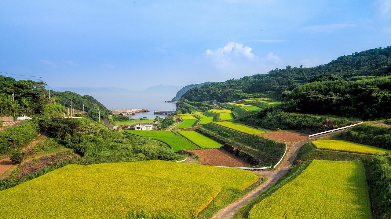 廣西靈山高速建設(shè)進(jìn)展揭秘，最新消息與未來(lái)展望
