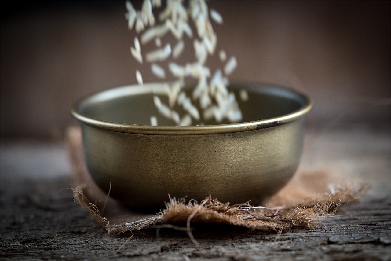 王樹(shù)勤在承德，最新發(fā)展動(dòng)態(tài)及消息解讀
