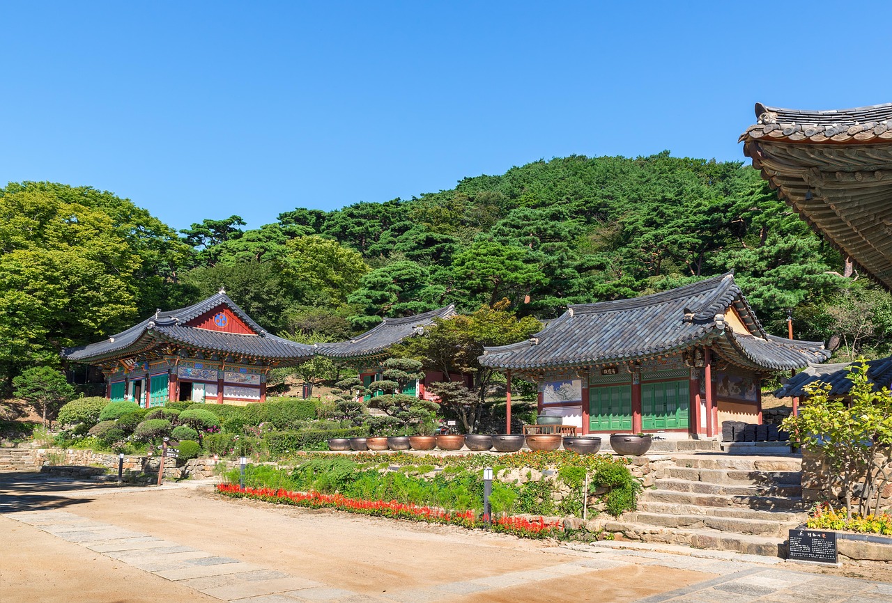廣饒四季花城，繁榮盛景與未來期待揭秘