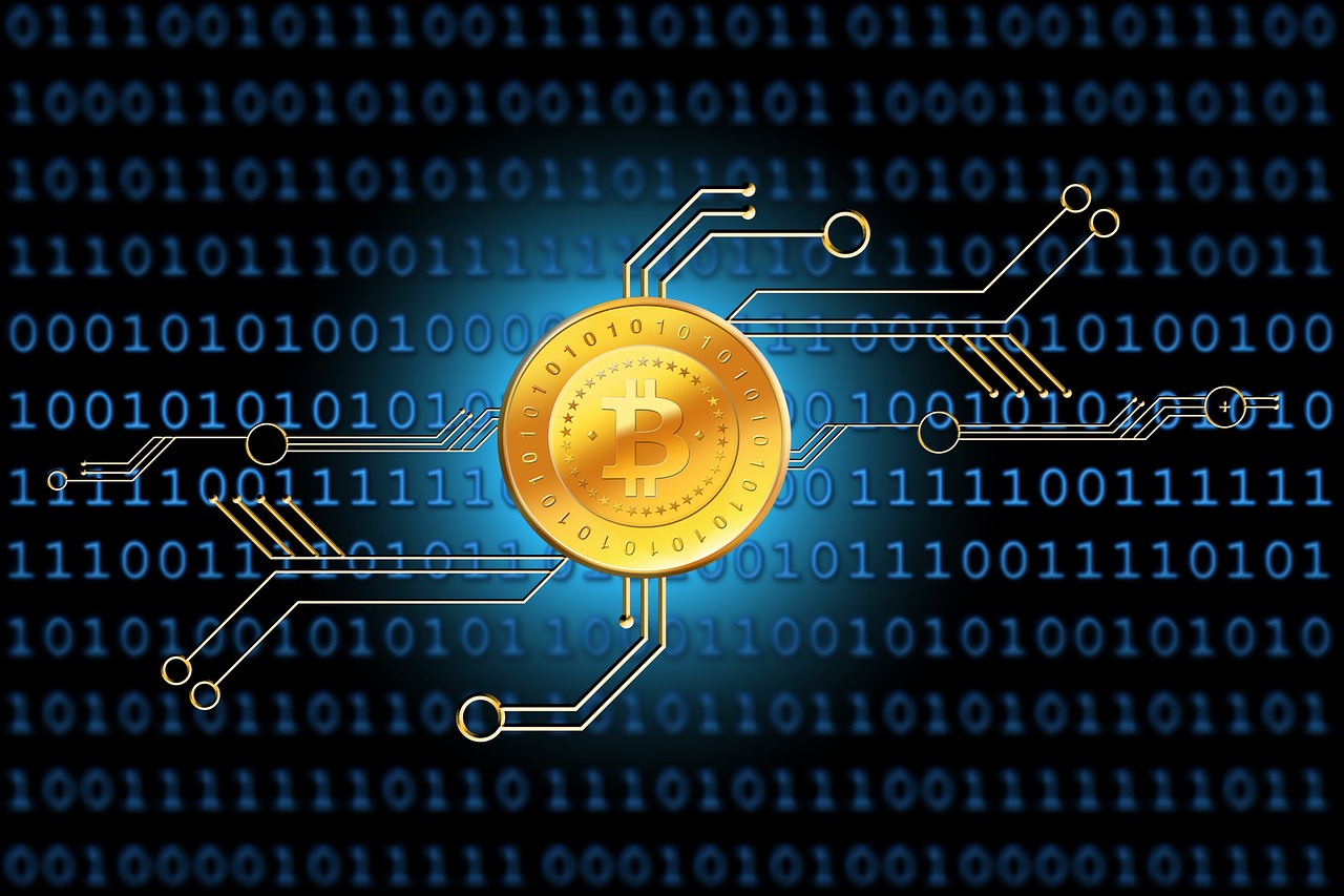 最新傳染病分類及種類概述，全面解析傳染病的世界