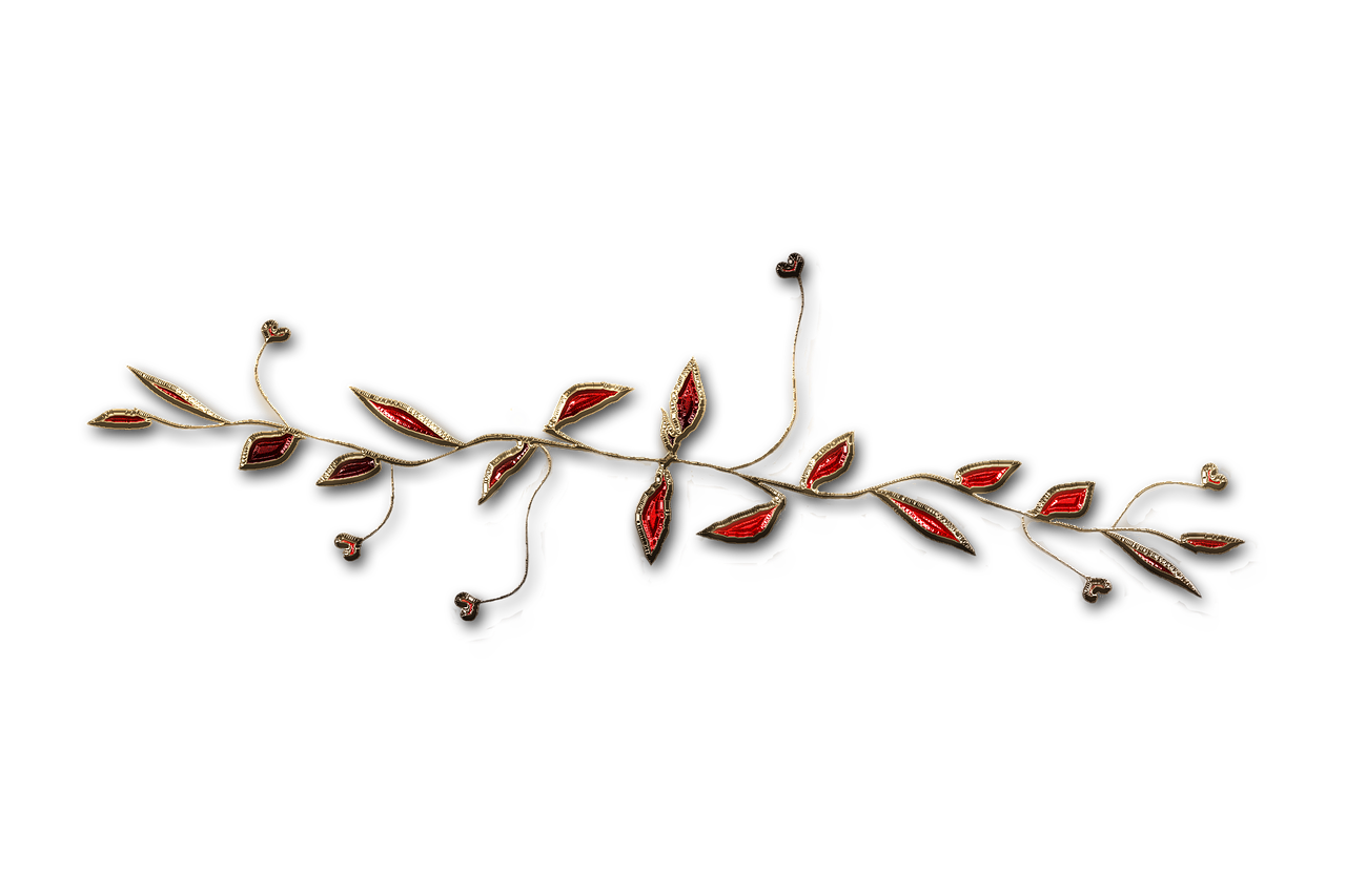 廣西大紅八角產(chǎn)業(yè)蓬勃發(fā)展，前景廣闊，最新消息與動(dòng)態(tài)