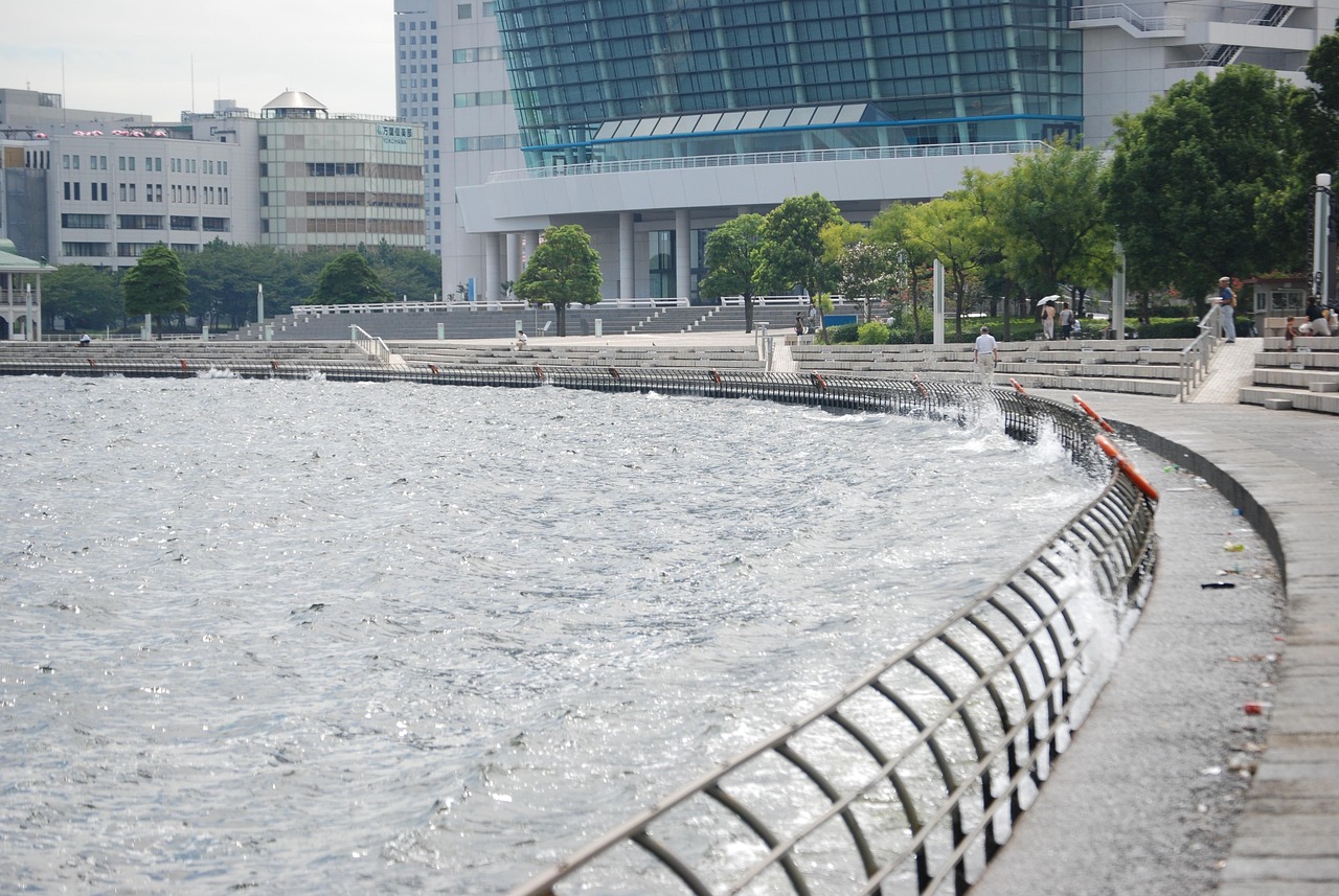 鄭州海昌海洋公園最新動態(tài)揭秘，揭開神秘面紗，展現(xiàn)海洋魅力奇觀