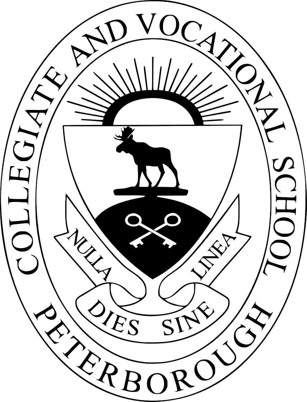 共青城大學(xué)城蓬勃發(fā)展，教育新篇章的最新消息